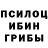 Псилоцибиновые грибы Psilocybe Alisuper Atabaev