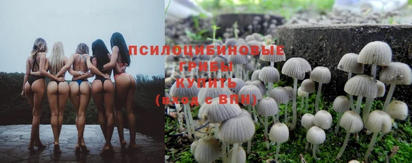 эйфоретик Абинск