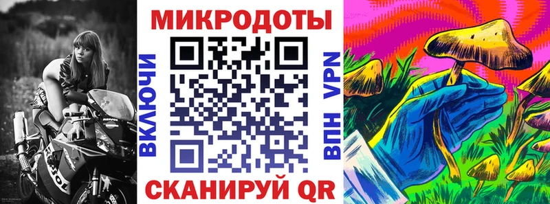 Галлюциногенные грибы Psilocybe  Камызяк 